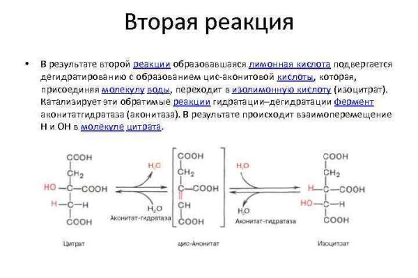 Кракен онион зеркала зеркало