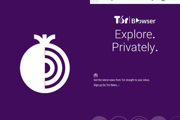 Kraken darknet onion